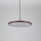 Corenelia Acrylic Pendant Light-Moonnatur