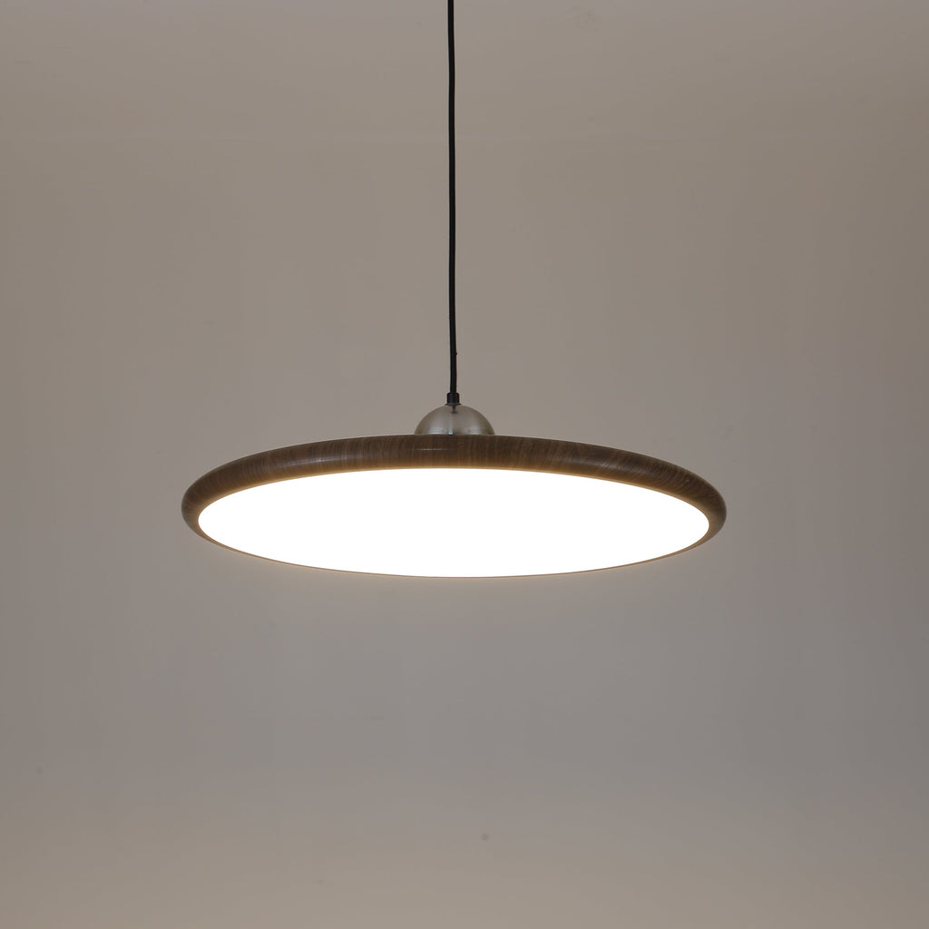 Corenelia Acrylic Pendant Light-Moonnatur