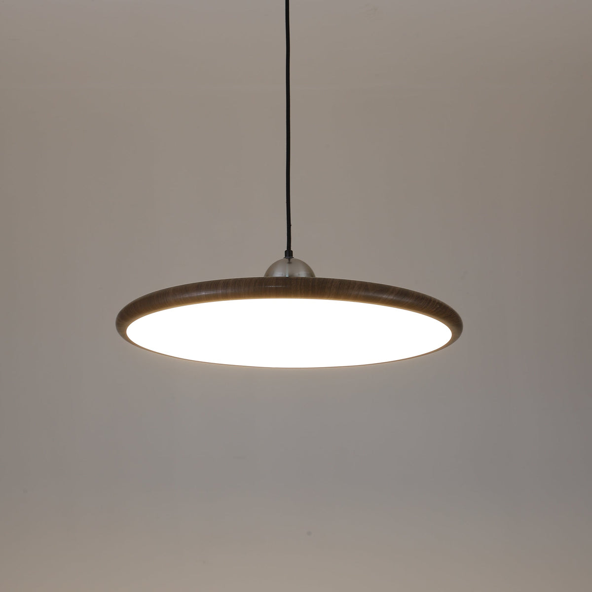Corenelia Acrylic Pendant Light-Moonnatur