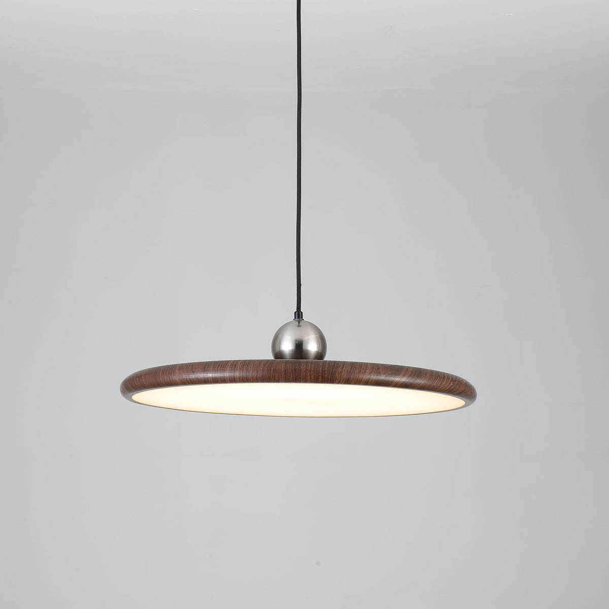 Corenelia Acrylic Pendant Light-Moonnatur