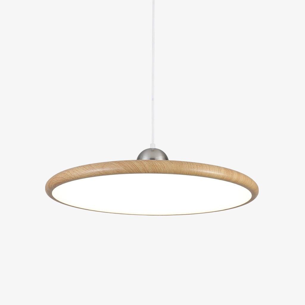 Corenelia Acrylic Pendant Light-Moonnatur