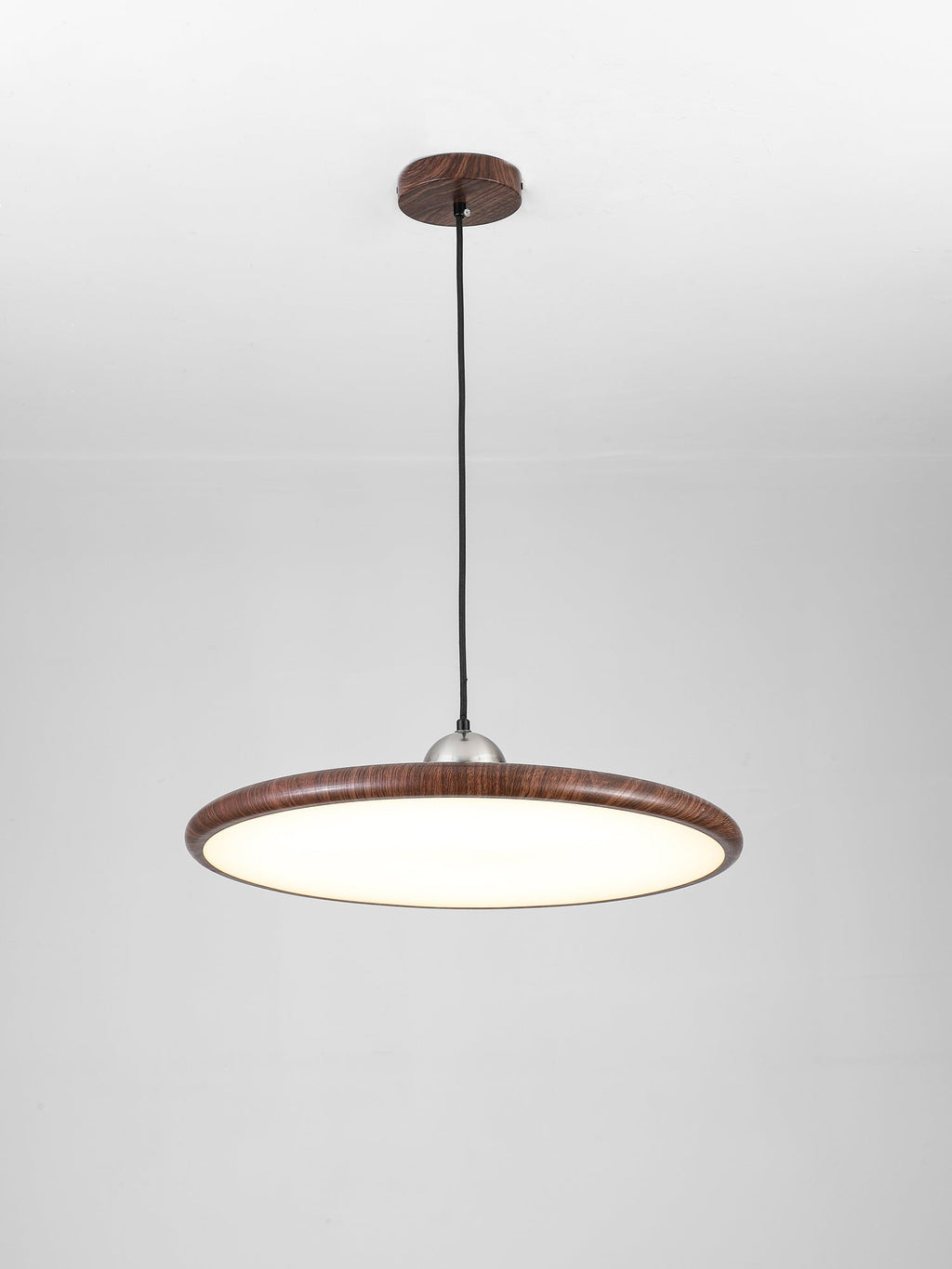 Corenelia Acrylic Pendant Light-Moonnatur