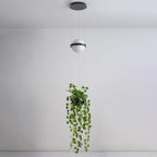 Kestlyn Acrylic Pendant Light-Moonnatur