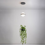 Kestlyn Acrylic Pendant Light-Moonnatur