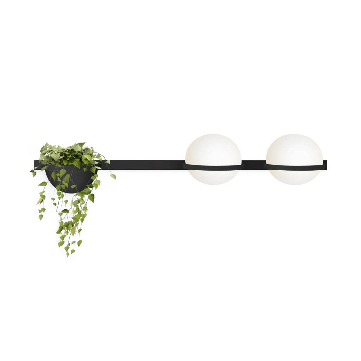 Garnelvale Acrylic Wall Light-Moonnatur