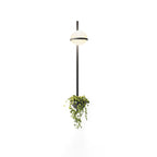 Beldenenna Acrylic Wall Light-Moonnatur