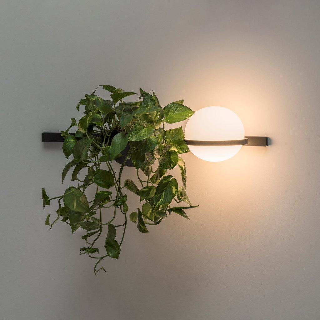 Beldenenna Acrylic Wall Light-Moonnatur