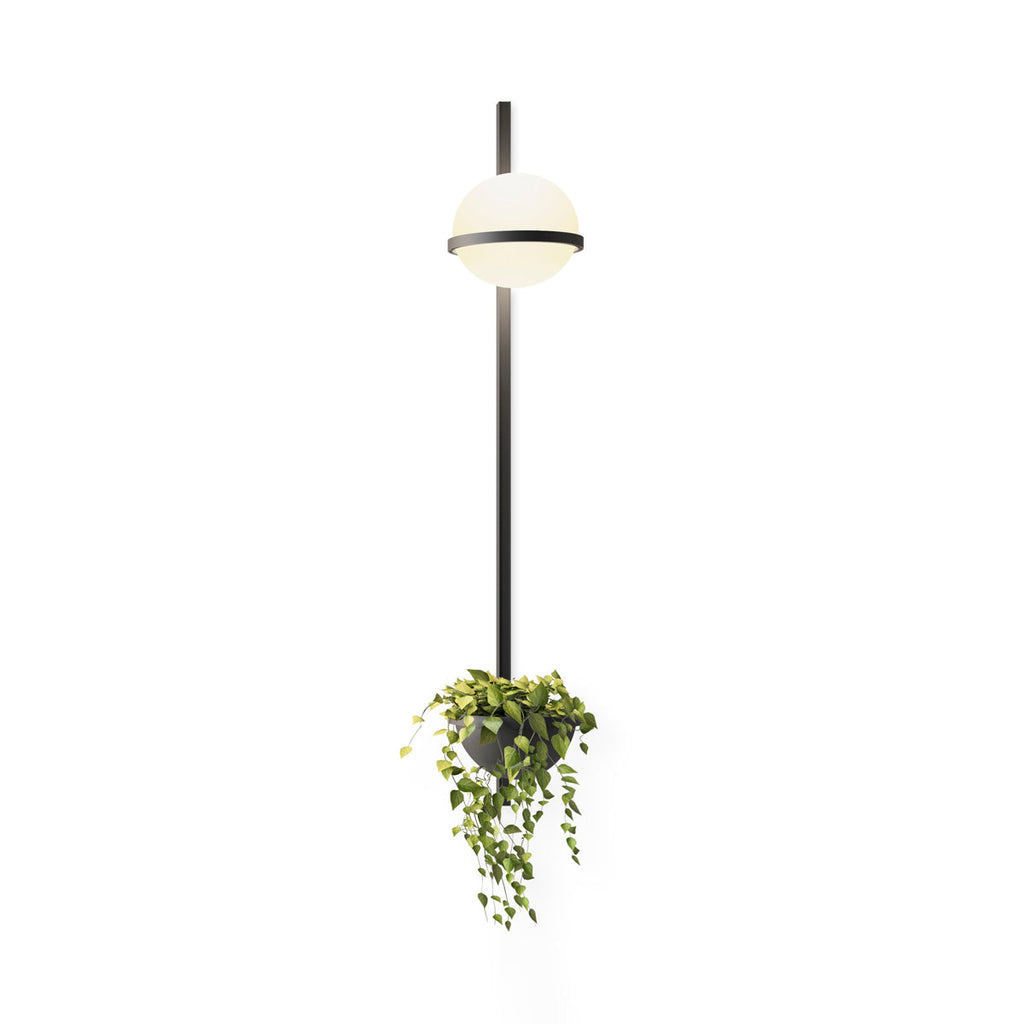 Beldenenna Acrylic Wall Light-Moonnatur