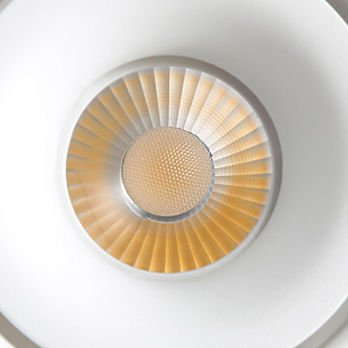 Lowenaria Aluminium Track Light-Moonnatur