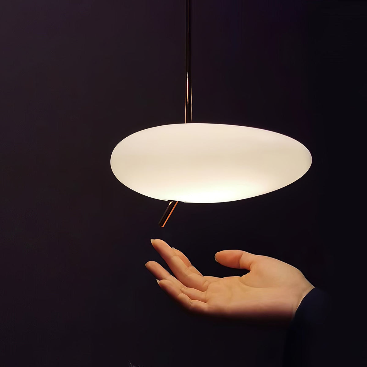 Meldenenora Metal Pendant Light-Moonnatur