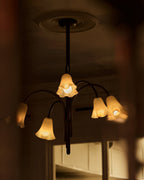 Beldenbrook Glass Chandelier-Moonnatur