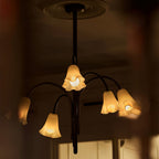 Beldenbrook Glass Chandelier-Moonnatur