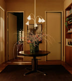 Beldenbrook Glass Chandelier-Moonnatur