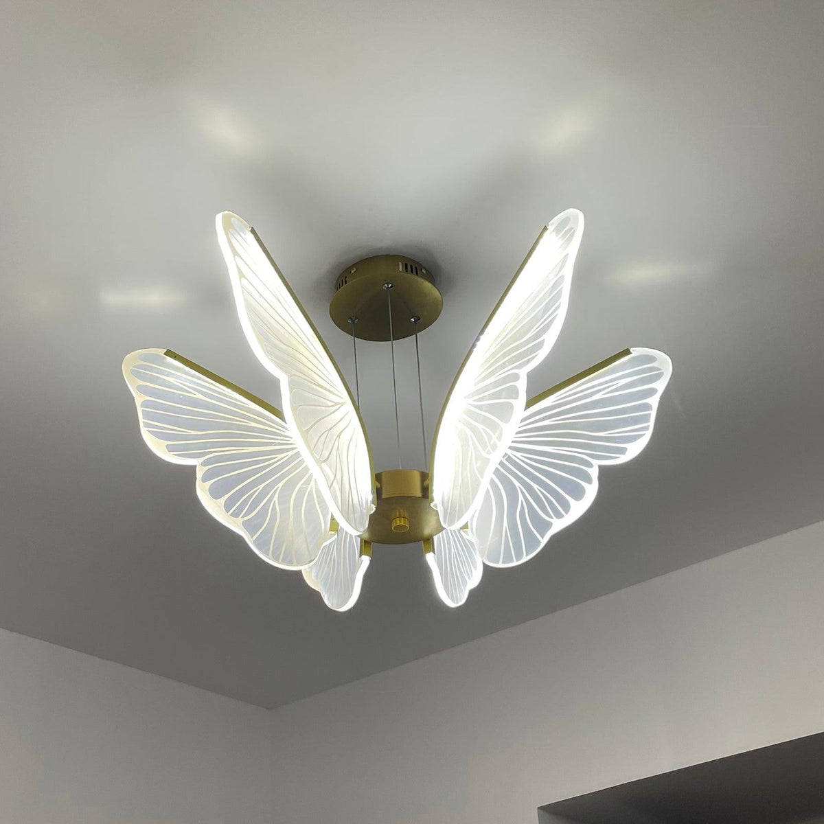 Quenelle Acrylic Chandelier-Moonnatur