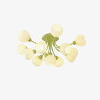 Ovelwyn Glass Ceiling Light-Moonnatur