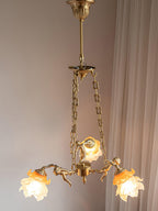 Erenina Brass Chandelier-Moonnatur