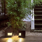 Rinora Metal Outdoor Light-Moonnatur
