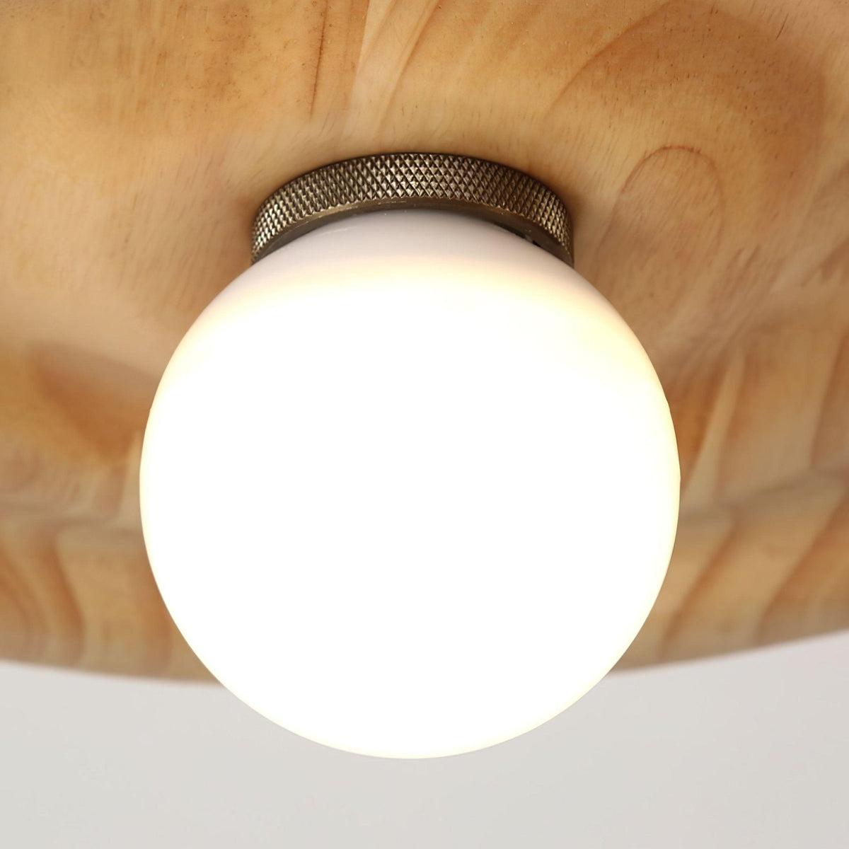 Myrenune Glass Pendant Light-Moonnatur