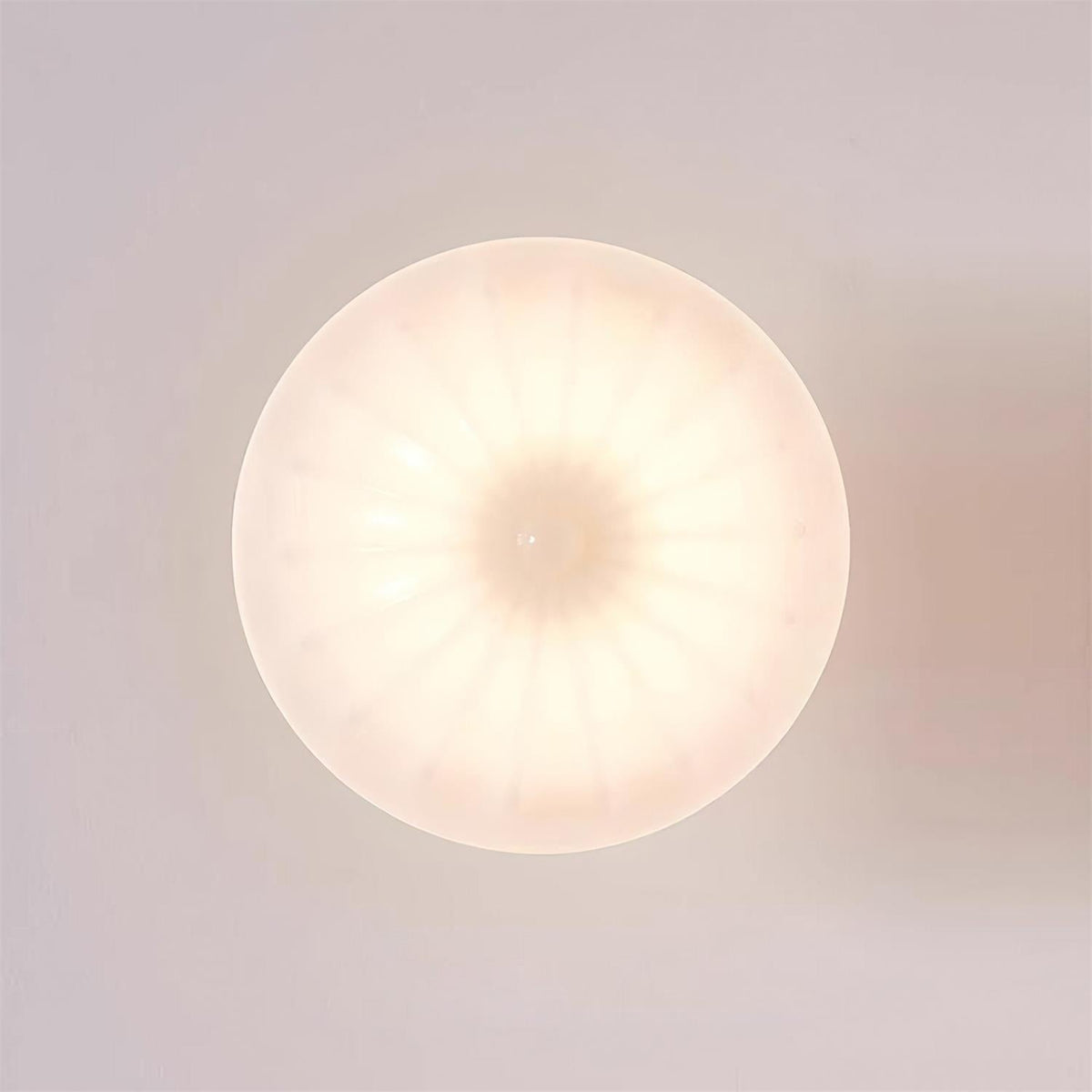 Hildenfern Glass Ceiling Light-Moonnatur