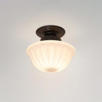 Hildenfern Glass Ceiling Light-Moonnatur