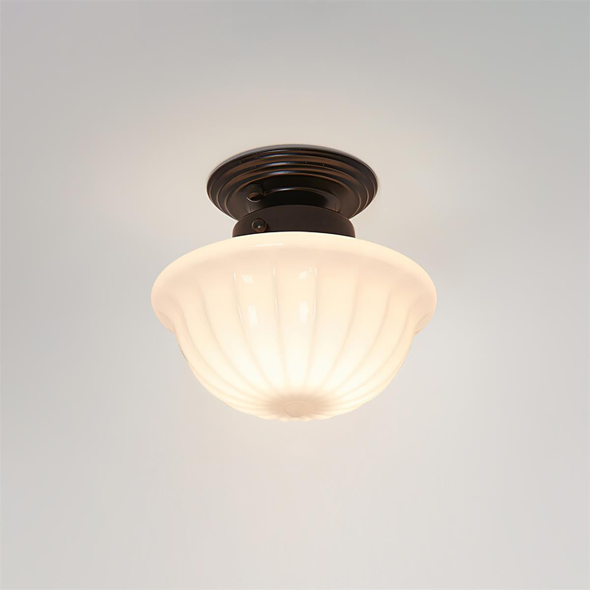 Hildenfern Glass Ceiling Light-Moonnatur