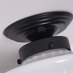 Hildenfern Glass Ceiling Light-Moonnatur