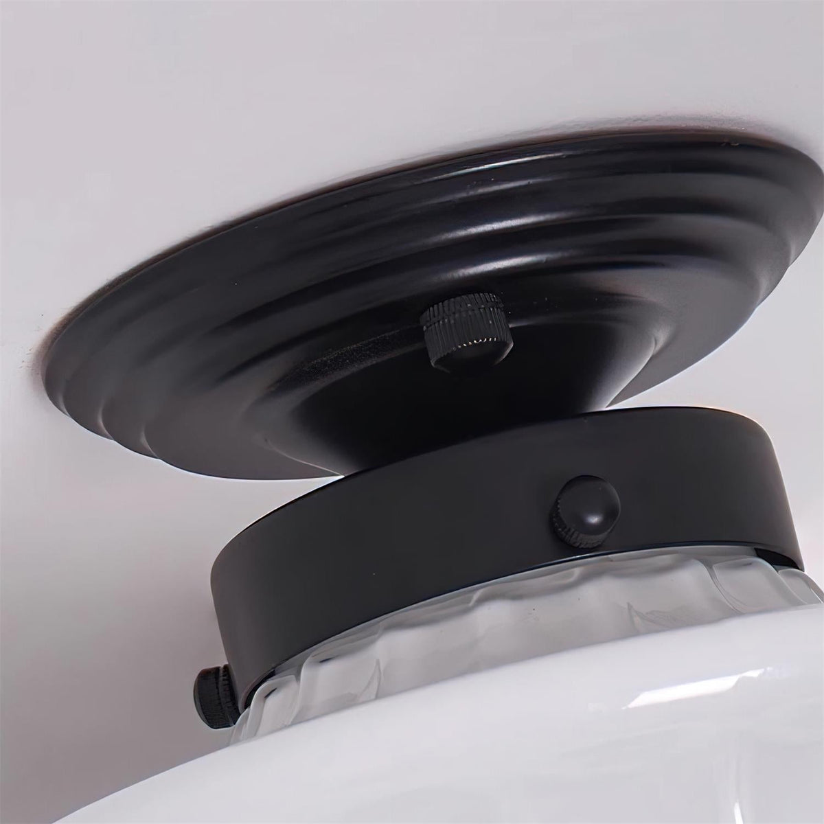 Hildenfern Glass Ceiling Light-Moonnatur