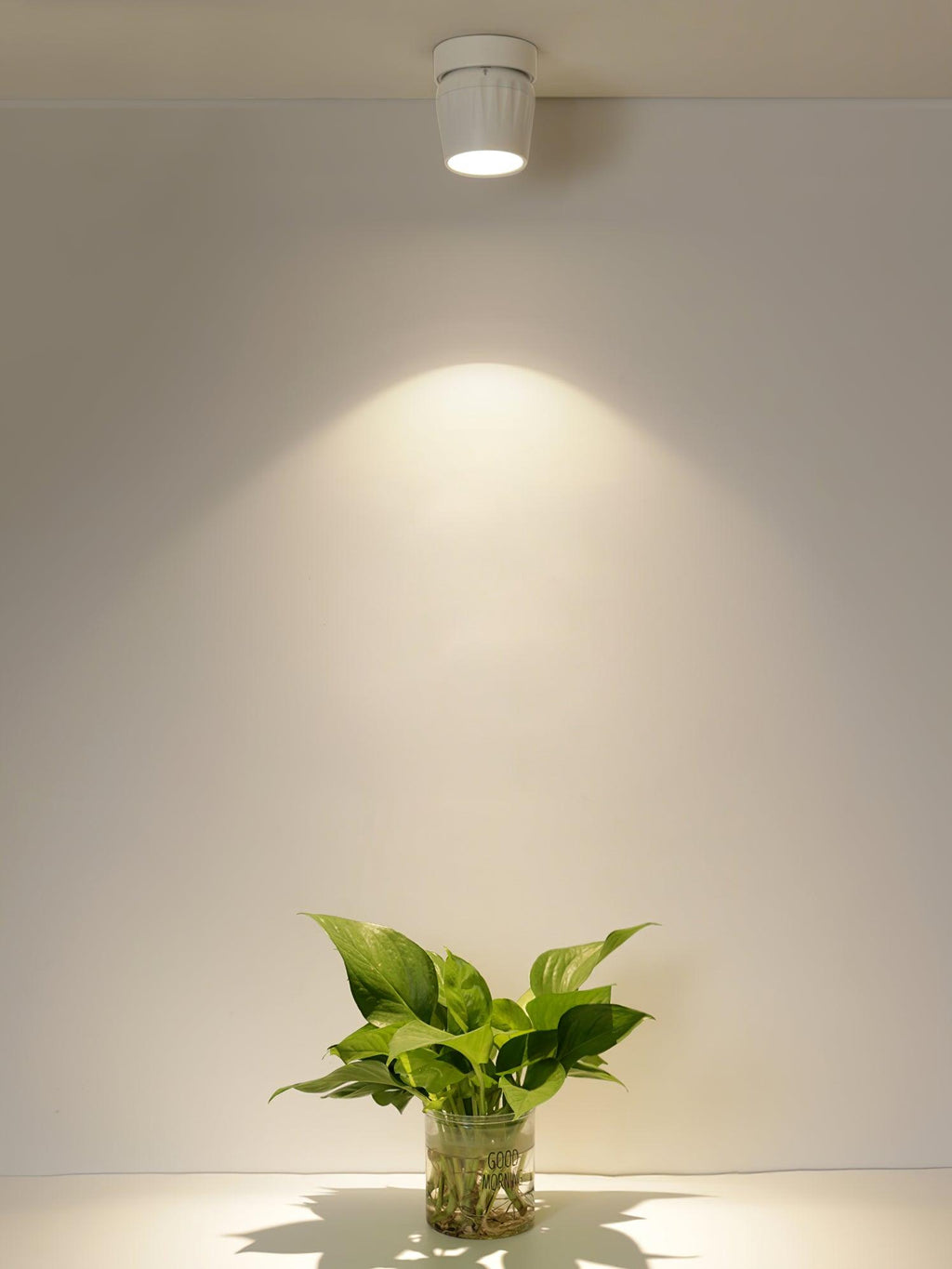 Crestavon Aluminium Spotlight-Moonnatur