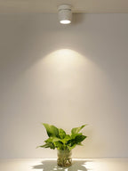 Crestavon Aluminium Spotlight-Moonnatur
