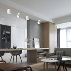 Cavella Aluminium Ceiling Light-Moonnatur