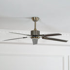 Drenune Stainless Steel Ceiling Fan-Moonnatur