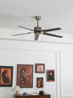 Drenune Stainless Steel Ceiling Fan-Moonnatur