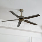 Drenune Stainless Steel Ceiling Fan-Moonnatur
