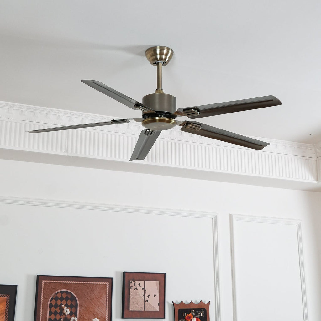 Drenune Stainless Steel Ceiling Fan-Moonnatur