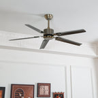 Drenune Stainless Steel Ceiling Fan-Moonnatur