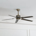 Drenune Stainless Steel Ceiling Fan-Moonnatur