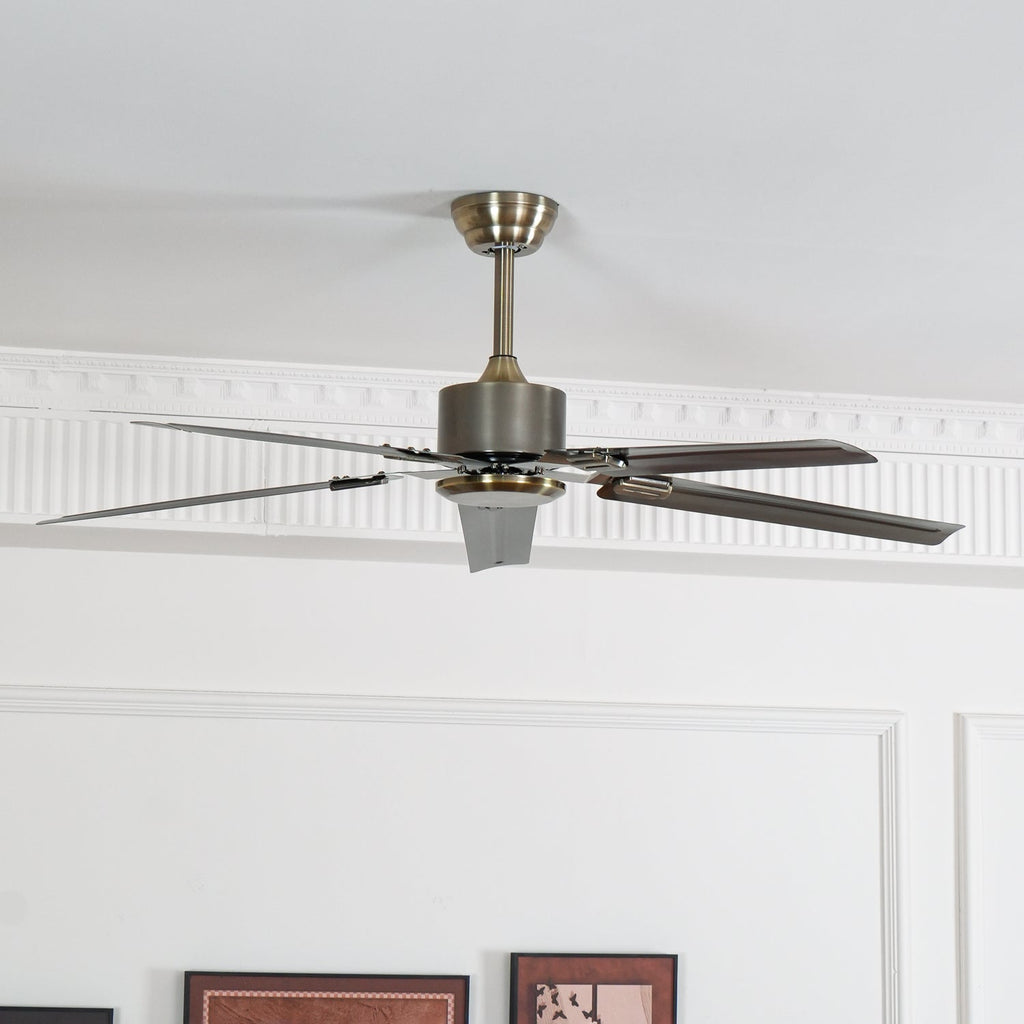Drenune Stainless Steel Ceiling Fan-Moonnatur