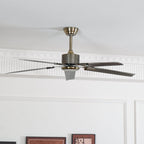 Drenune Stainless Steel Ceiling Fan-Moonnatur