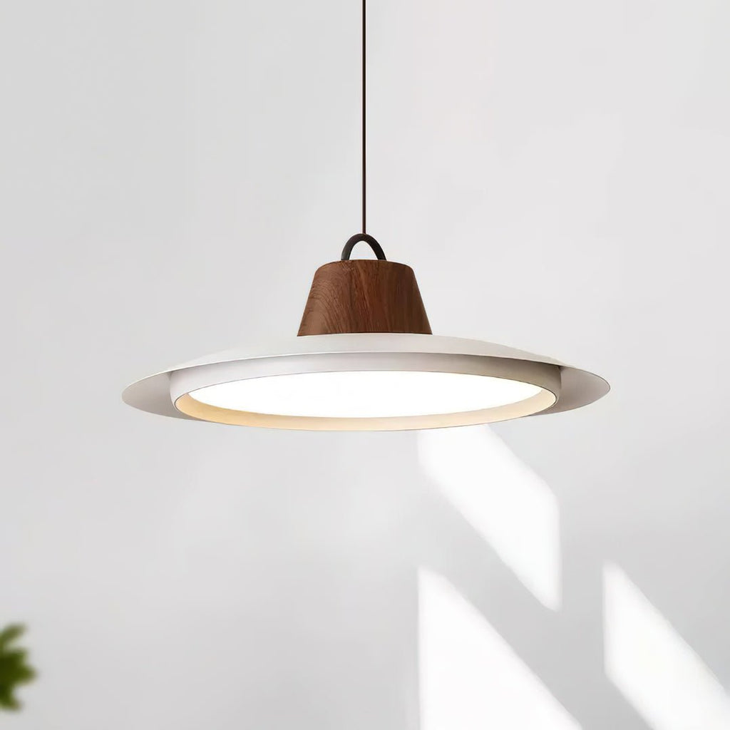Narenena Acrylic Pendant Light-Moonnatur