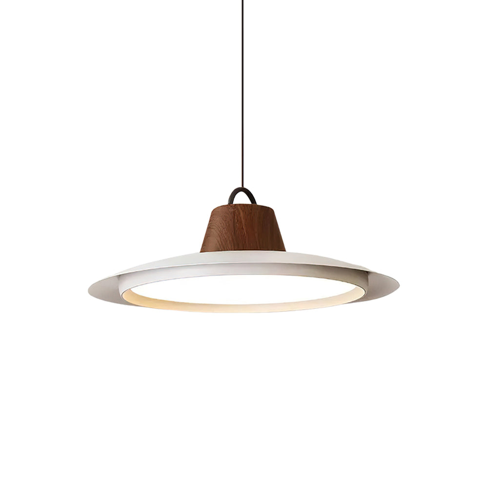 Narenena Acrylic Pendant Light-Moonnatur