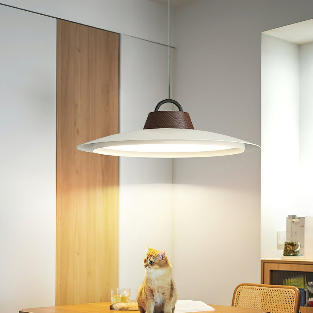 Narenena Acrylic Pendant Light-Moonnatur