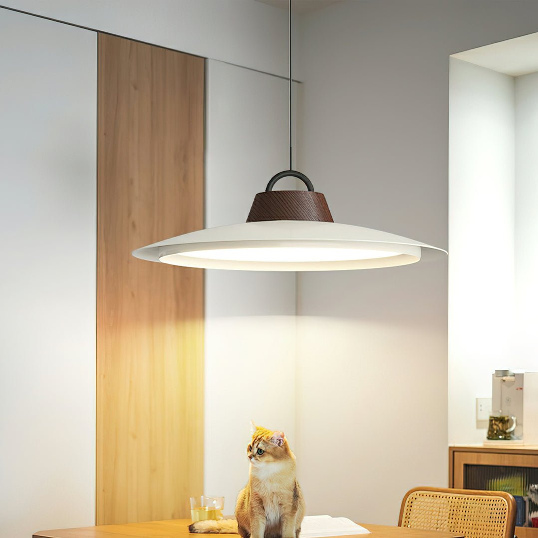 Narenena Acrylic Pendant Light-Moonnatur