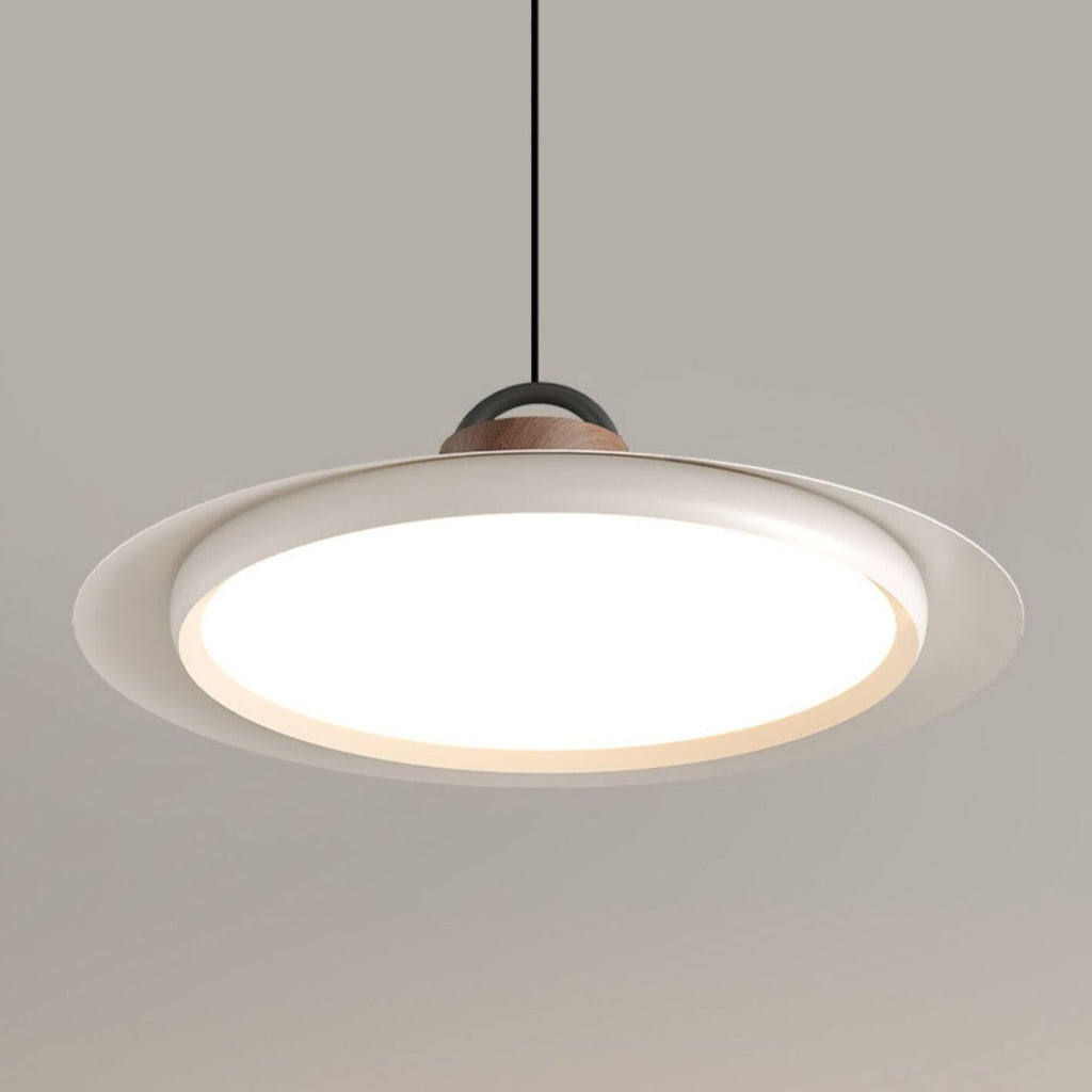 Narenena Acrylic Pendant Light-Moonnatur