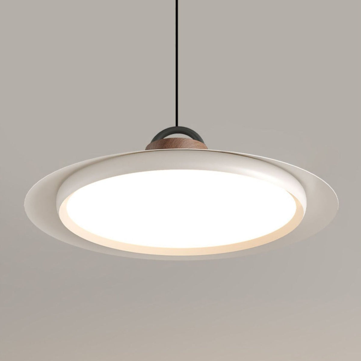 Narenena Acrylic Pendant Light-Moonnatur