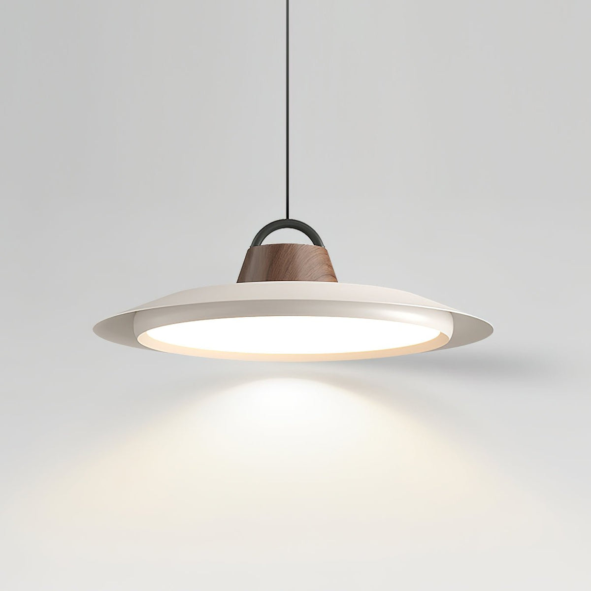 Narenena Acrylic Pendant Light-Moonnatur
