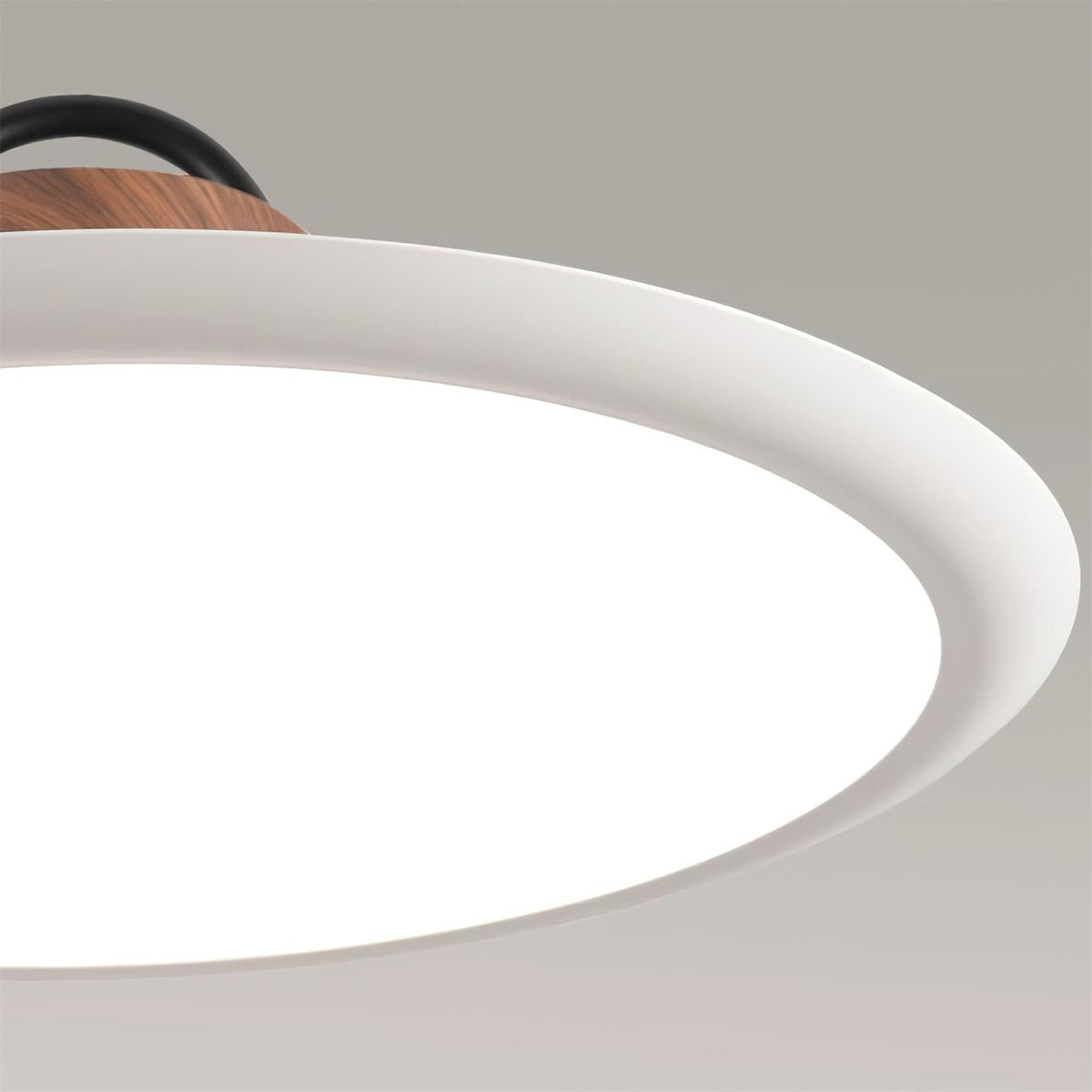 Narenena Acrylic Pendant Light-Moonnatur