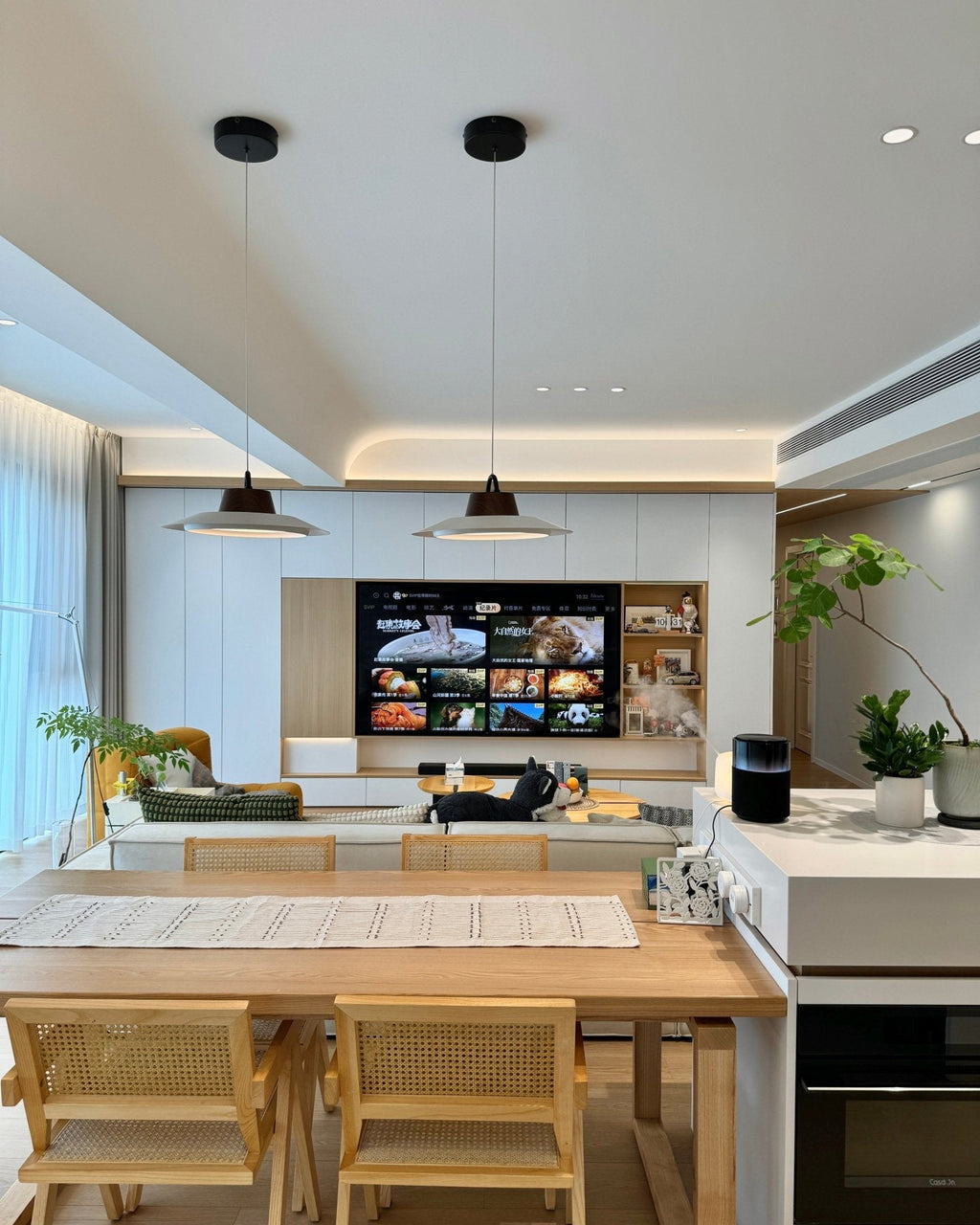 Narenena Acrylic Pendant Light-Moonnatur