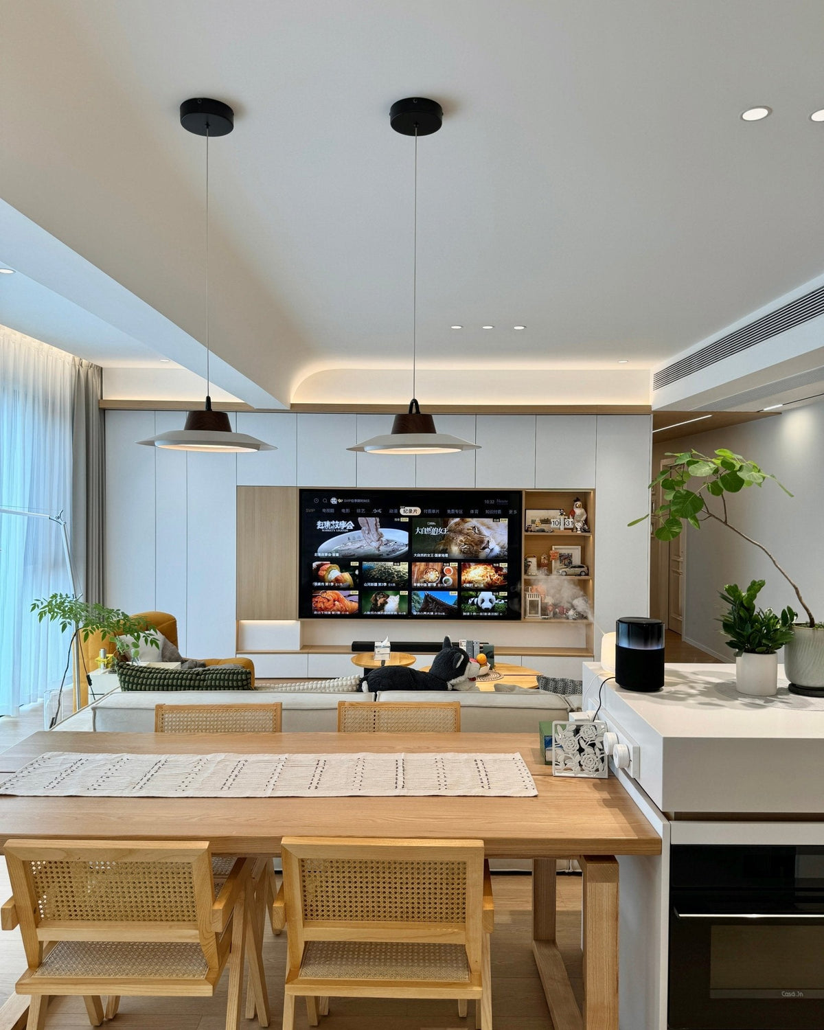 Narenena Acrylic Pendant Light-Moonnatur