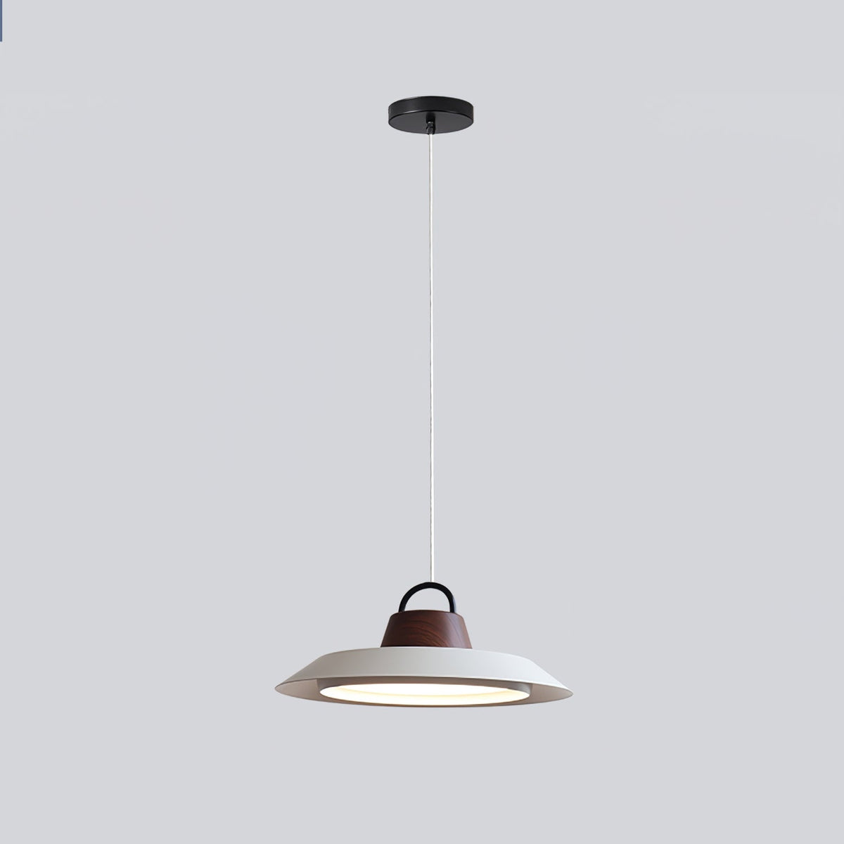 Narenena Acrylic Pendant Light-Moonnatur