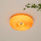 Darnelmoss Glass Ceiling Light-Moonnatur